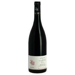 Domaine De La Butte Bourgueil Pied De La Butte | Red Wine